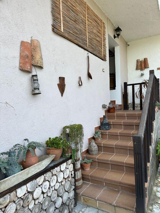 Bed & Breakfast Local Living Edi Berat Zewnętrze zdjęcie